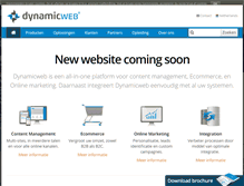 Tablet Screenshot of dynamicweb.nl